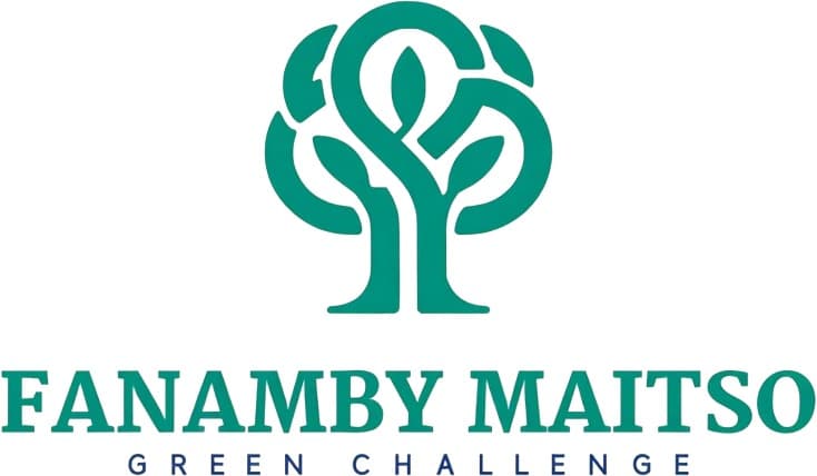 Logo ONG Fanamby MAITSO
